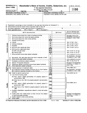 Schedule K-1 Shareholder's Income Report