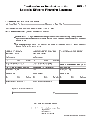 Nebraska Effective Financing Statement Amendment