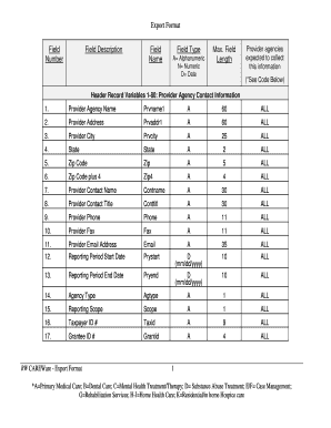 RW CAREWare Provider Agency Report Form