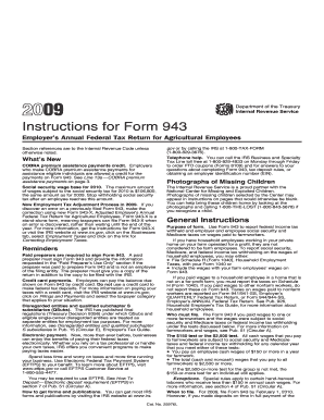 Instructions for Form 943