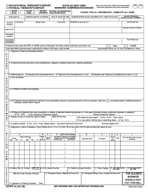 New York Workers' Compensation OT/PT Report