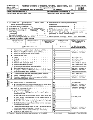 IRS Form 1065 Schedule K-1