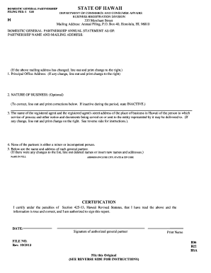 Hawaii Domestic General Partnership Annual Statement