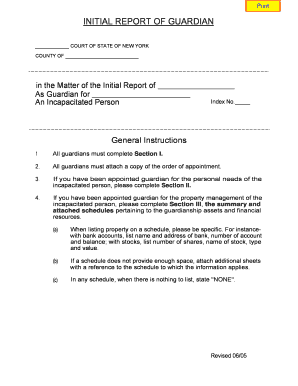 Initial Report of Guardian