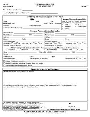 MH 533 Child Adolescent Full Assessment Form