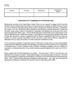 Net Worth Statement for Probation