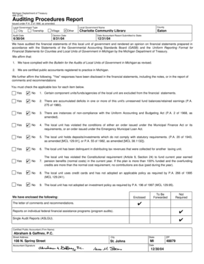 Michigan Local Government Auditing Procedures Report