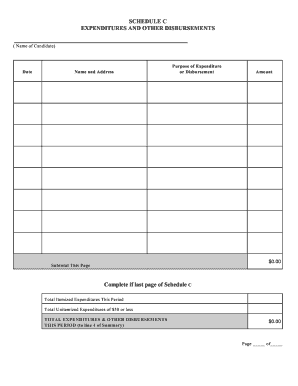 Schedule C Expenditure Form
