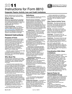 Instructions for Form 8810