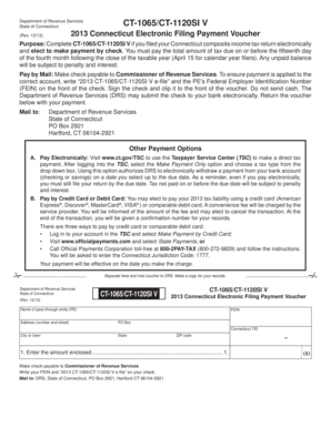 2013 Connecticut Electronic Filing Payment Voucher