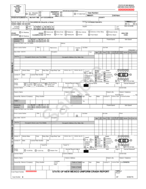 New Mexico Uniform Crash Report