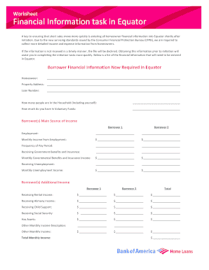 Equator Homeowner Financial Information Form