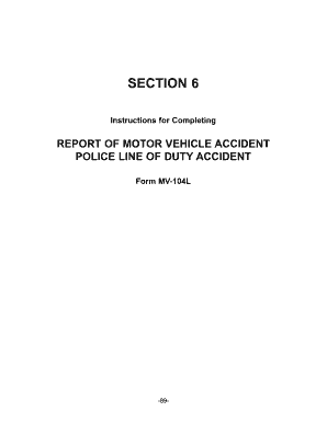 New York Police Line of Duty Accident Report
