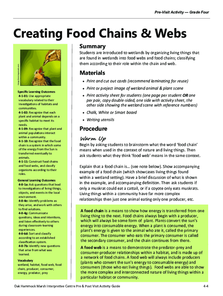 Fillable Online Food Chain Activities and Games for Hands Biology Diagrams