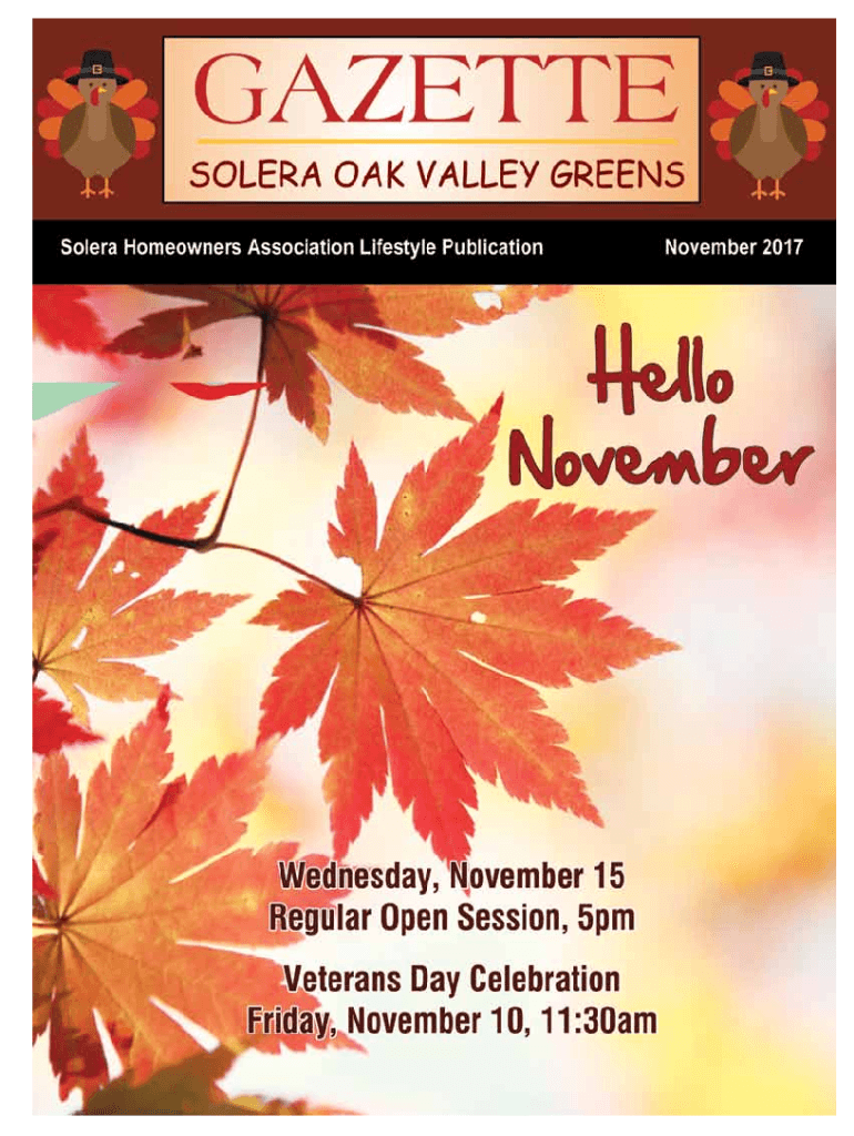 Fillable Online Solera at Oak Valley Greens Homes For Sale Fax Email