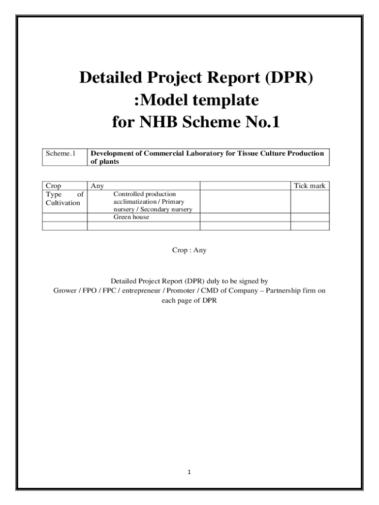 business plan or detailed project report (dpr) discusses on