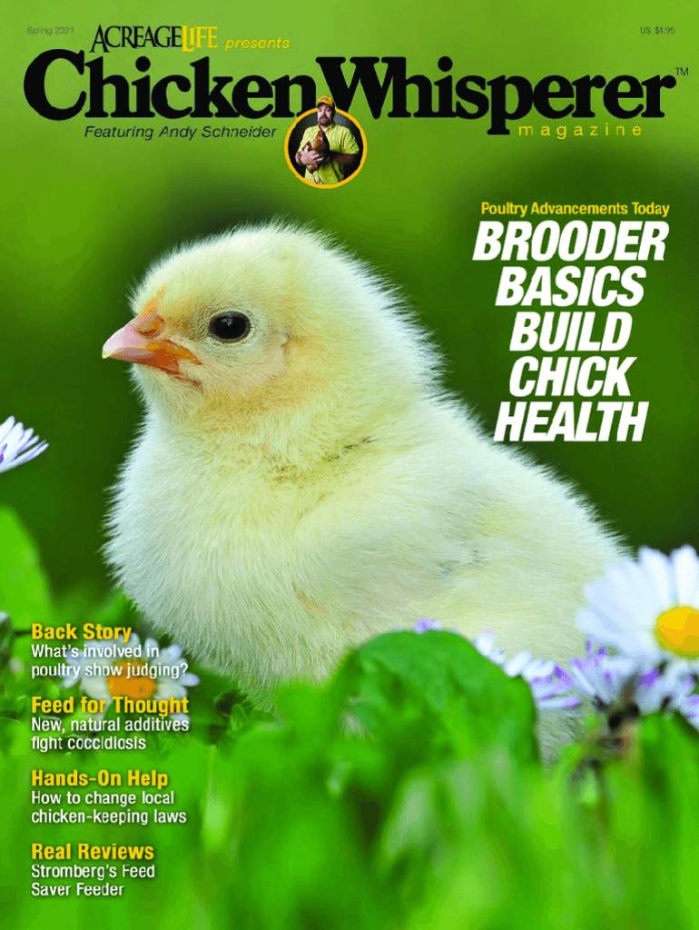 Fillable Online Chicken Laws and Ordinances (And how to change them