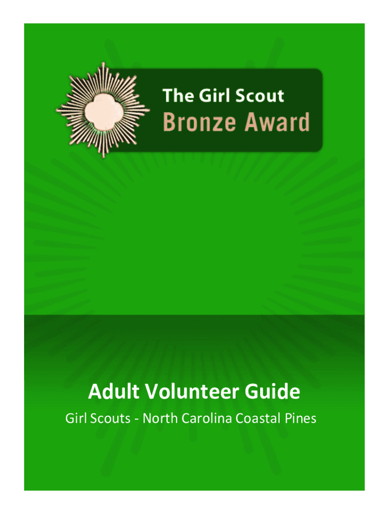 Fillable Online Girl Scout Bronze Award Guidelines for Volunteers