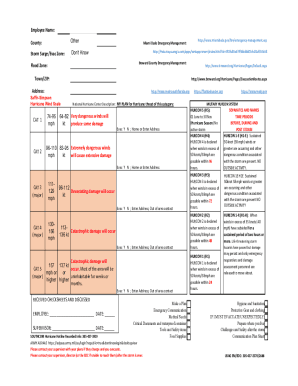 Fillable Online Hurricane Individual Plan (editable in excel) Fax Email ...