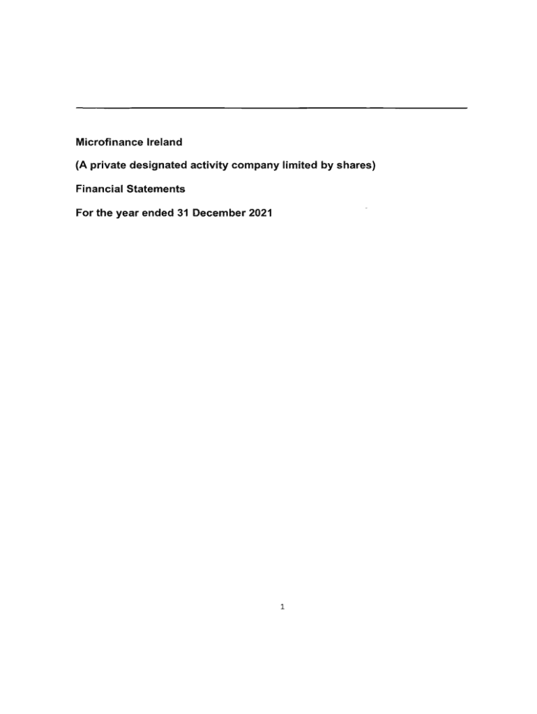 Fillable Online Microfinance Ireland Financial Statements 2021. Microfinance Ireland Financial