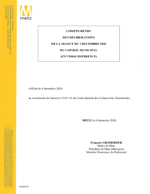 COMPTE RENDU DU CONSEIL MUNICIPAL SEANCE DU 19 ...