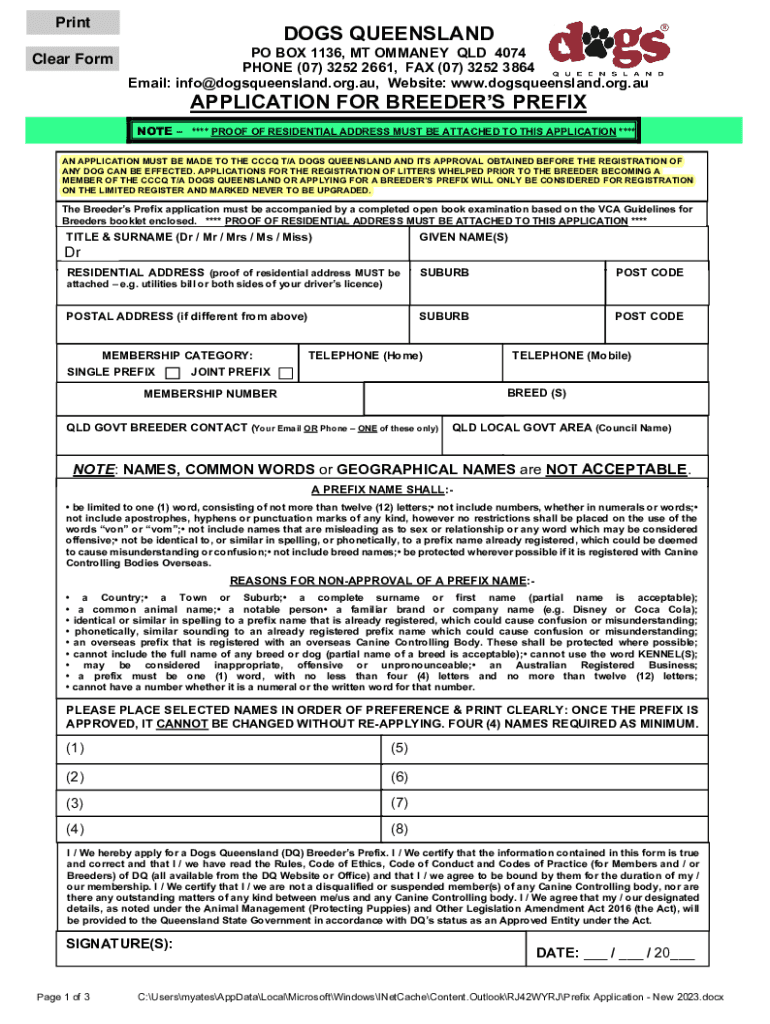 Form preview
