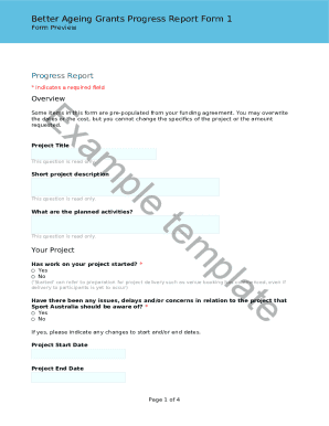 Form preview