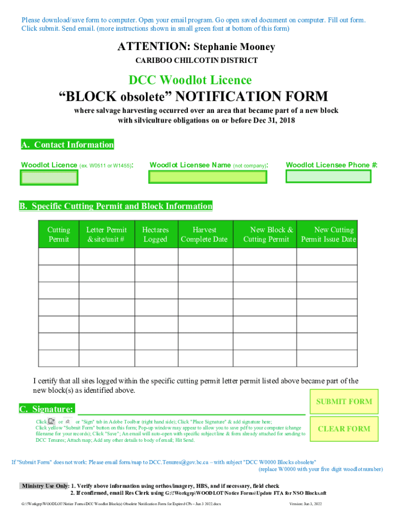 Form preview