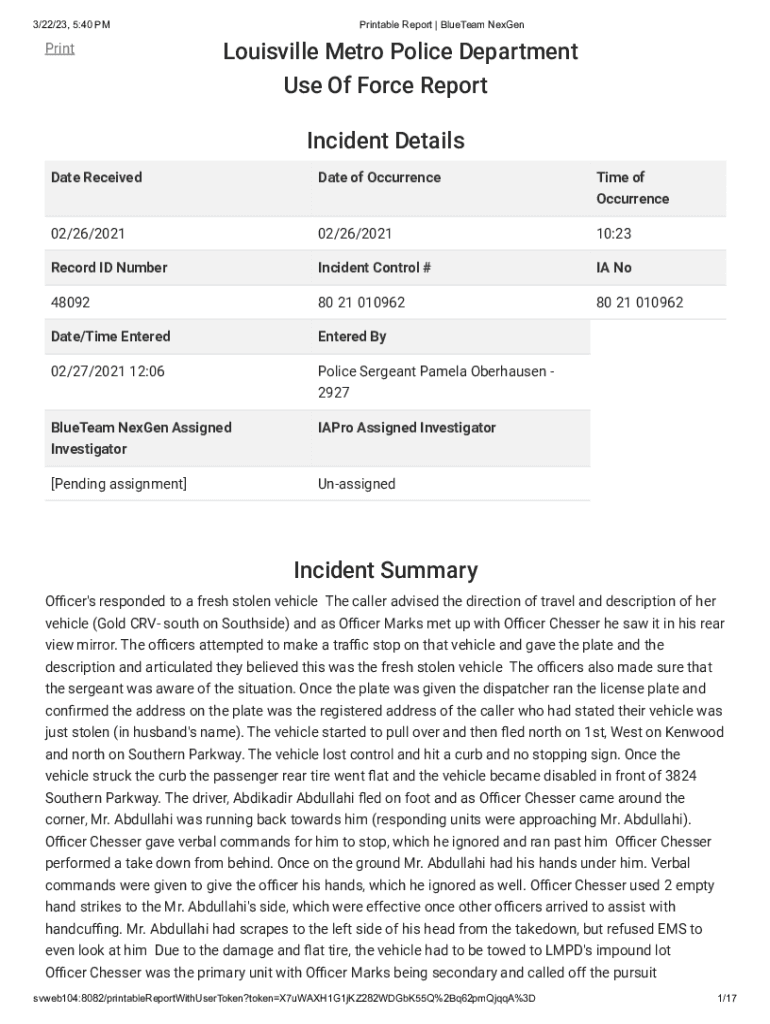 Form preview