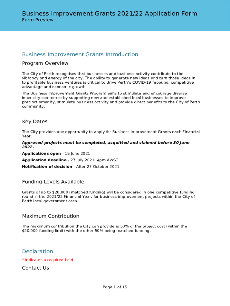 Form preview