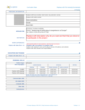 Form preview