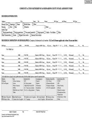 Community Action Partnership Intake Assessment Form