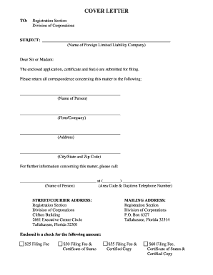 Florida Foreign LLC Amendment Application