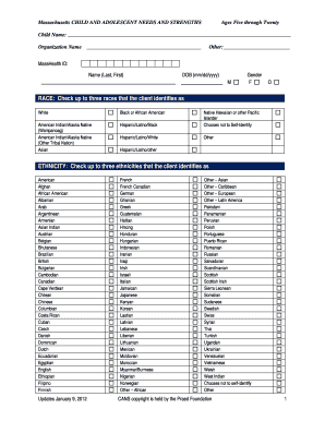 Massachusetts Child and Adolescent Needs and Strengths Form