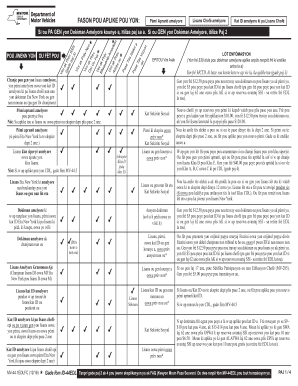 New York Enhanced Driver License Application