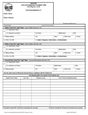 Montana Effective Financing Statement Form