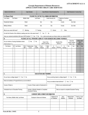 Georgia Child Care Services Application