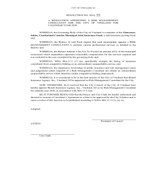 r-appoint-n-f-o-risk mgnt consultant.docx