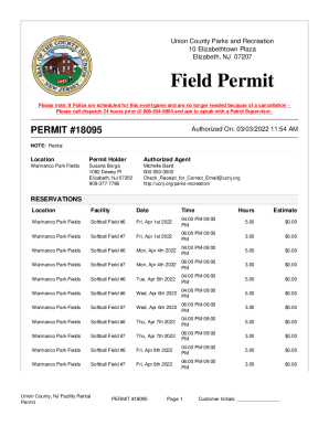 Form preview