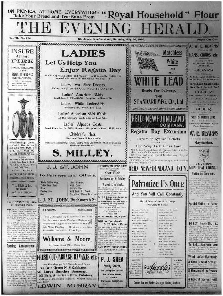 Nanny's Newfoundland Tea Biscuits Recipe Image