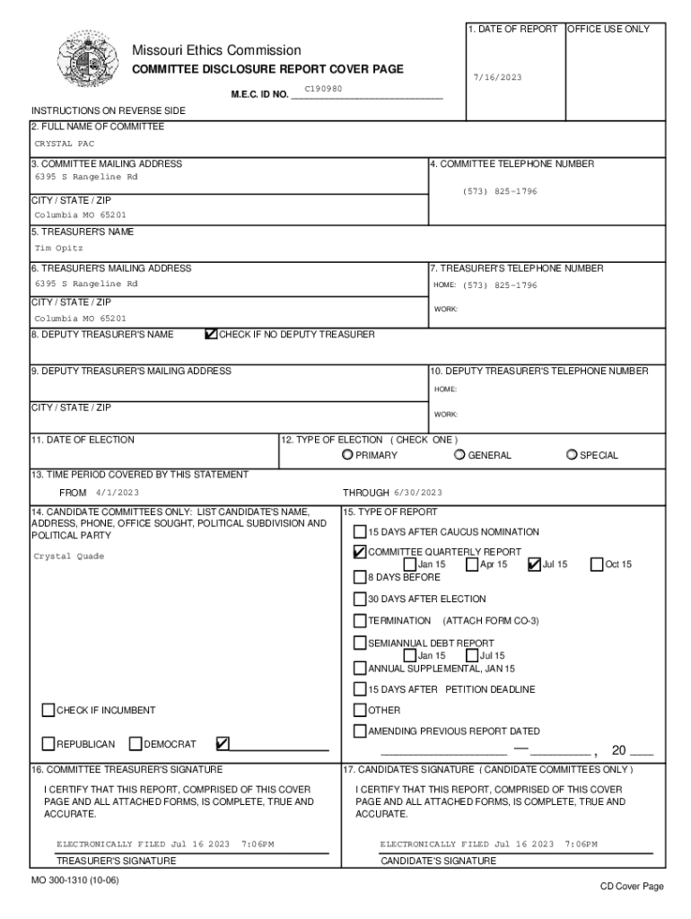 Form preview