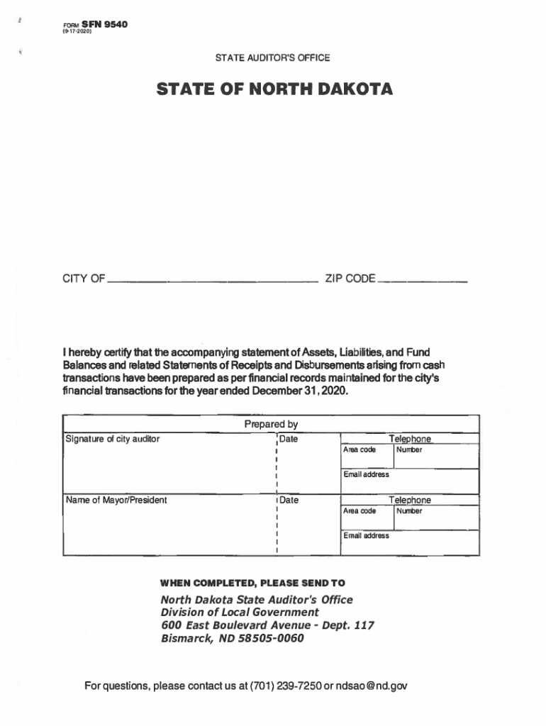 Revenues Expenditures Expenses (Schedule 01) Preview on Page 1