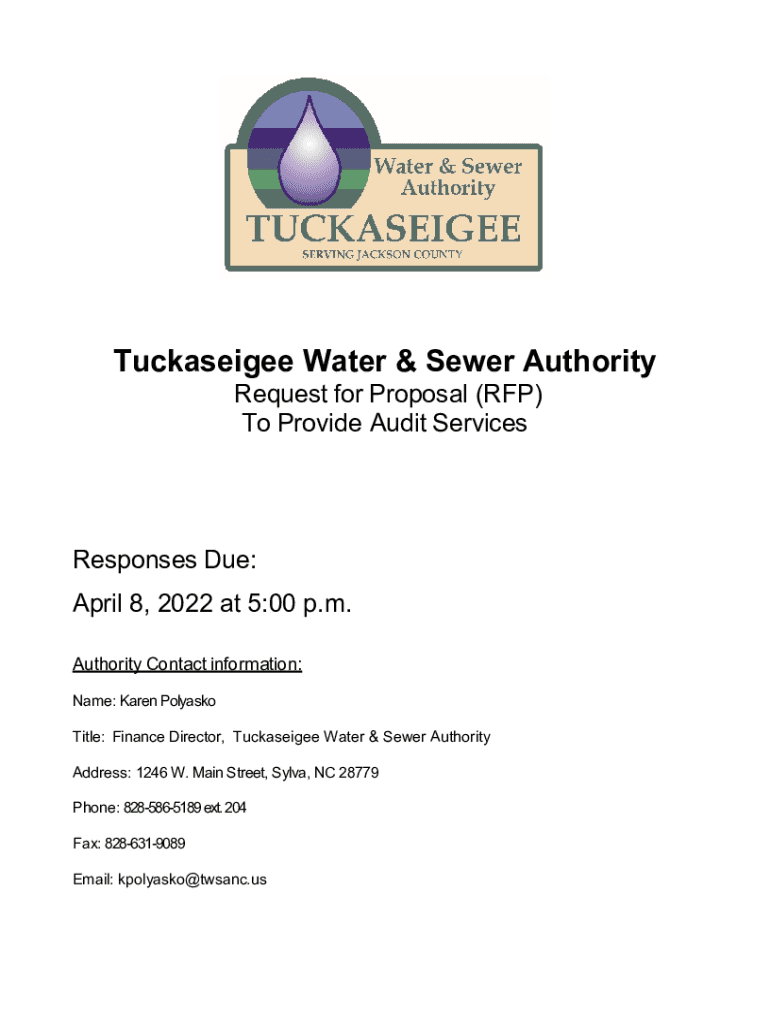 Fillable Online Request for Proposal (RFP) To Provide Audit Services Fax Email Print pdfFiller