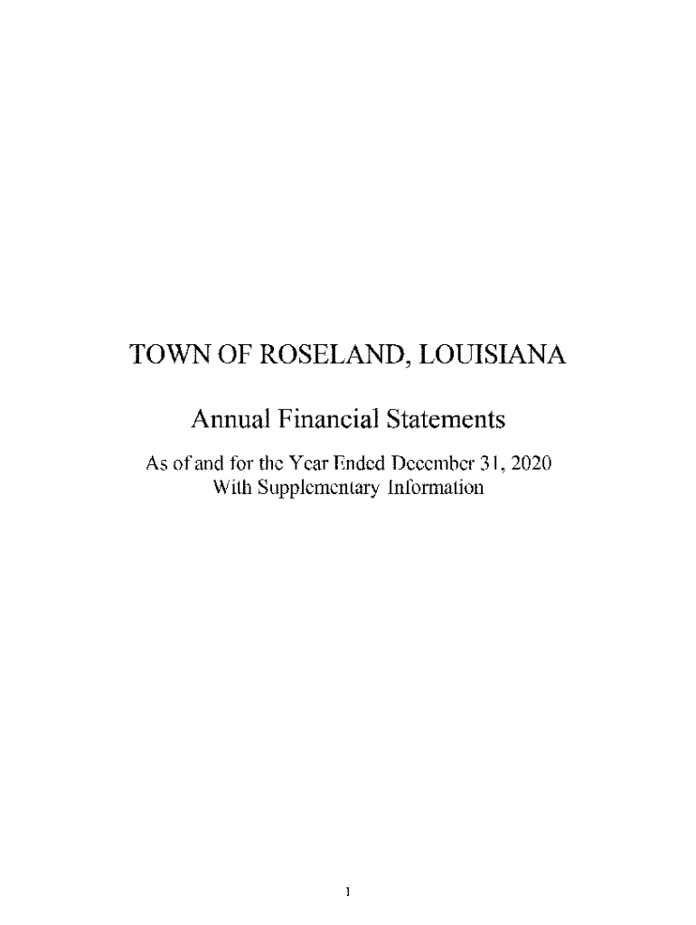 Fillable Online Town of Roseland Annual Financial Statements Fax Email Print pdfFiller