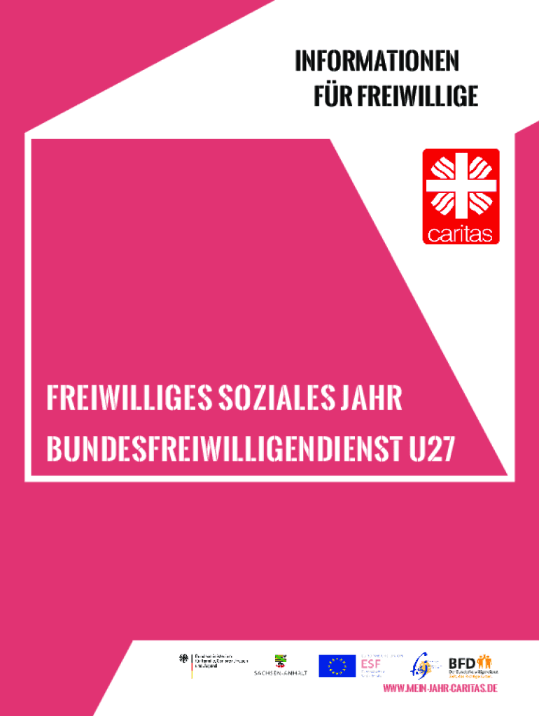 Freiwilliges Soziales Jahr Steuererklärung Wo Eintragen Ausfüllbar Online Freiwilliges Soziales Jahr (FSJ) in Deutschland Fax