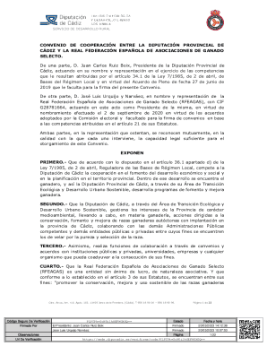 Convenio de colaboracin entre la diputacin de cdiz y la