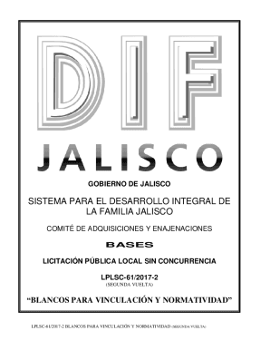 Informe preliminar de la Misin de Observacin Electoral ...