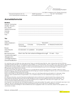 Form preview