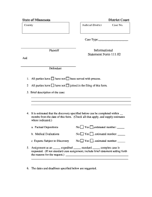 Minnesota District Court Informational Statement Form 111.02
