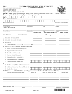 New York Bingo Operations Financial Statement